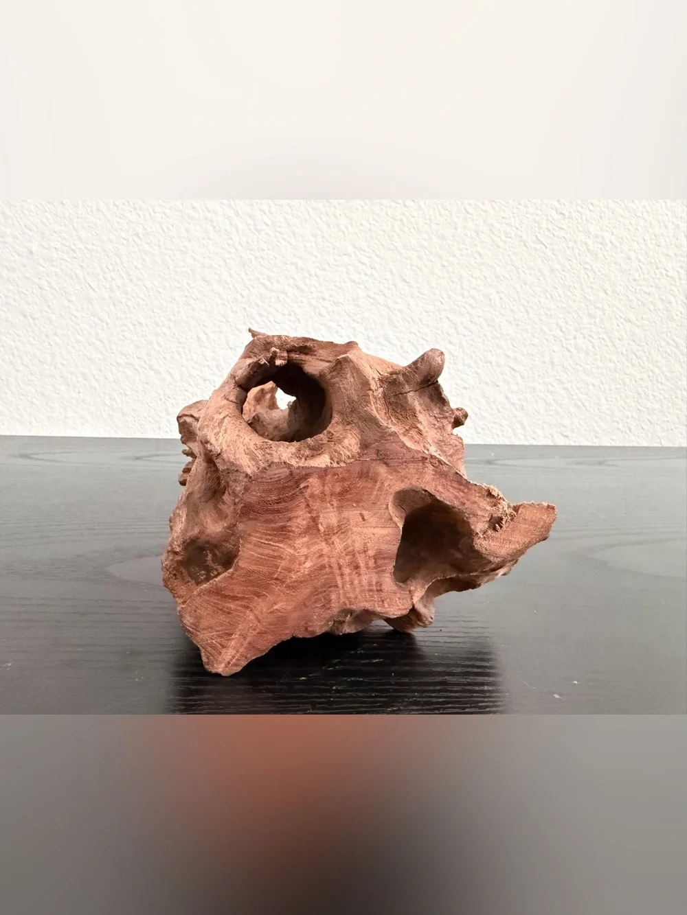 Natural Driftwood Decorative Accent - fish tank or reptiles decoration